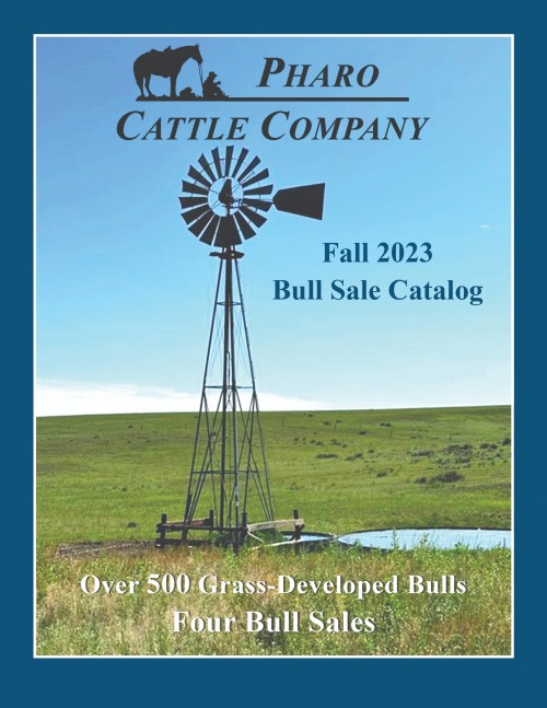 Superior Productions