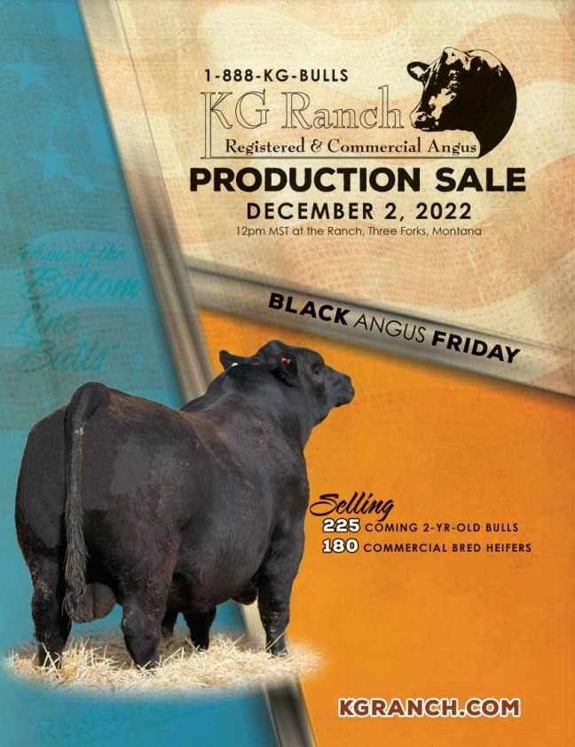 Superior Productions