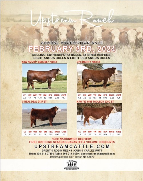 Superior Productions