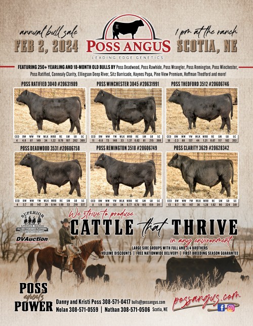 Superior Productions