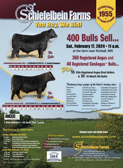 Superior Productions