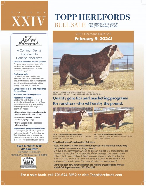 Superior Productions