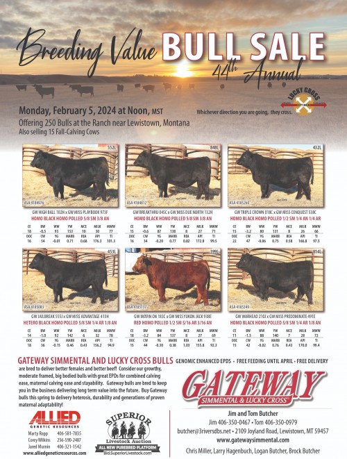 Superior Productions